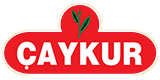 Çaykur